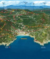 Collegamento Salice – 660